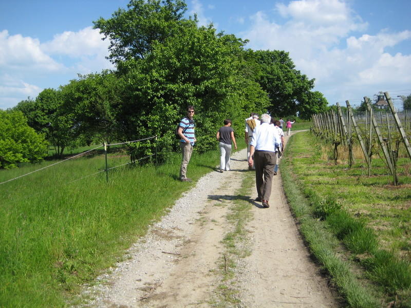 IMG_6934.JPG