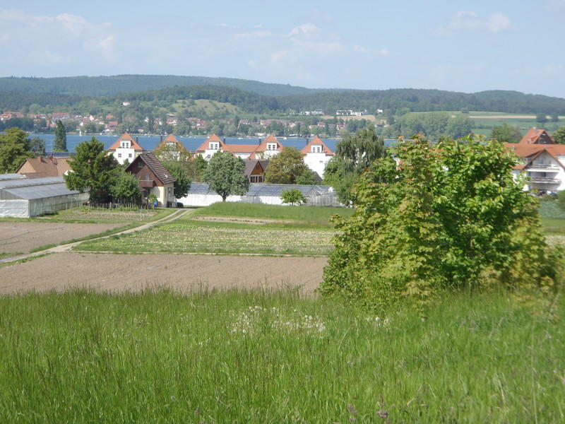 P5220040
