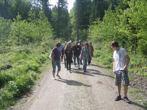 Spaziergang von Hegne nach Allensbach