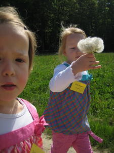 IMG_6897.JPG