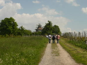 P1120060.JPG