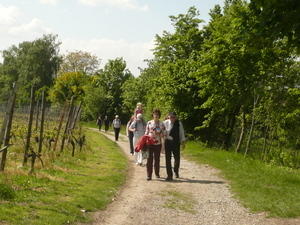 P1120061.JPG