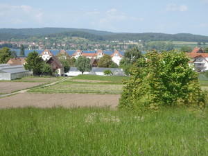 P5220040