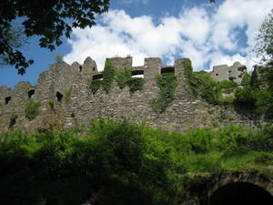 IMG_7030.JPG